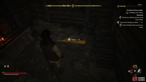 Search a stash in a shed,