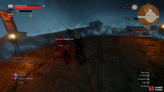 Defeat some guardian panther statues,