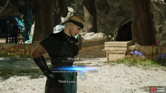 You can choose who takes the lead in some quests.