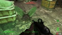 Aside from that, your only threats are the odd Radroach.