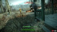 Dispatch several Bloatflies infesting the cabin,