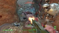 Kill the Molerats prowling above and below ground,