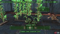 You can assign settlers to cultivate crops,