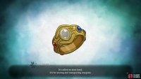 The arms band allows you to collect and store weapons