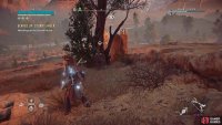 Speak to Varga by the tree