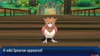 Ash’s Pikachu must be having flashbacks right now…