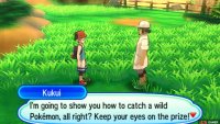 Kukui will use his trusty Rockruff to catch a wild Grubbin.