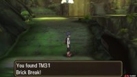 Brick Break also breaks Alolan Ninetales’ Aurora Veil.
