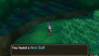 More areas become accessible when you get new Ride Pokémon.