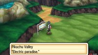 You’ll find more Pikachu here than you can shake a stick at.