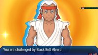 Pokémon: Ultra Sun & Moon Screenshot