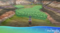 This meadow also serves as a landmark for Charizard Glide.