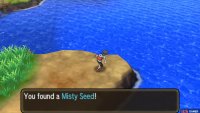 This held item raises Special Defense when Misty Terrain is triggered, which could be useful on Tapu Fini.