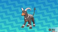 Houndoom