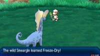 Freeze Dry is a useful move for Alolan Ninetales that usually requires sketching.