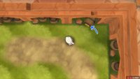 096: In the top right corner of the middle space outside Hapu’s house.