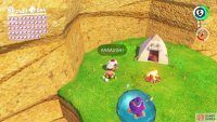 and you should have enough water with the Gushen to reach Captain Toad