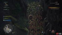Climb the vines near the Endemic Life Researcher to reach the potential campsite