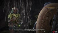 Talk to the Endemic Life Researcher and she’ll ask you to catch a Woodland Pteryx