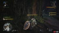 You can harvest Gourmet Shroomcaps from Unique Mushroom Colonies