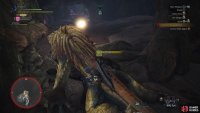 After slaying the Great Jagras, be sure to carve materials out of its corpse