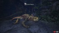 which ultimately lead him to a greater threat - the Great Jagras