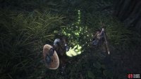 After killing your quota of Kestodons, the Field Team Leader will follow some more monster tracks