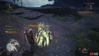 Find various signs of the Great Jagras’ passage to gain Research Points and boost your Scoutfly Level