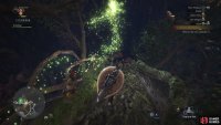 Gather research on Grimalkynes and follow the Scoutfly trail to the boughs of the Ancient Forest