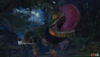 which ultimately lead them to discover a rather agitated Pukei-Pukei