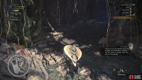 Be mindful of your Stamina bar while exploring - let it deplete and you’ll be incapacitated for a while