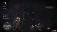 You can find the Woodland Pteryx climb on - and gliding from - trees