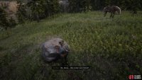 You’ll find the head with the piece on a rock next to the body