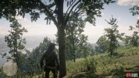 you’ll find this tree along the path.