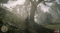 the tree can be found on the west side of the path.