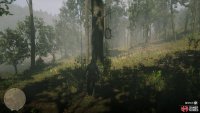 you’ll find another tree on the west side of the path.
