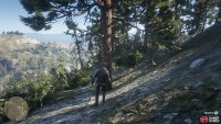 the tree sits on the side of the path to the west.