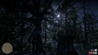 check out the woods to the east to find this Dreamcatcher.