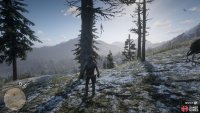 you’ll find a white tree with the final Dreamcatcher.