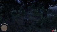 you’ll find a group of trees with the Dreamcatcher.