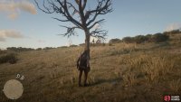 you’ll find a lone tree here with the Dreamcatcher.