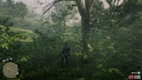 there’s a group of trees just north of here containing the Dreamacatcher.