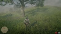 you’ll find a lone tree to the west of the farm containing the Dreamcatcher.