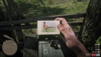 The Pheasant card is found in the same spot as the Blue Jay card