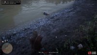 pull him in from the river bank to hogtie him.