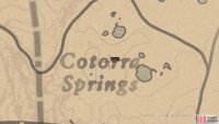 You can find the next clue to the right of the second O in Cotorra