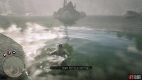 You have no choice but to swim to the island