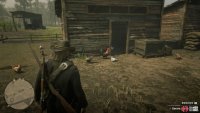 In a ranch north of Saint Denis you can find all the varieties of rooster