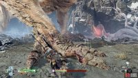 Focus on the claws when they’re on the ground.