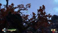 Don’t miss the Raven before you leave the chamber.